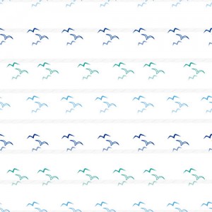 Aves marinas